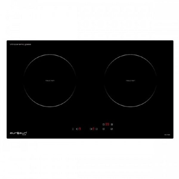 Bếp từ Eurosun EU-TE256 plus