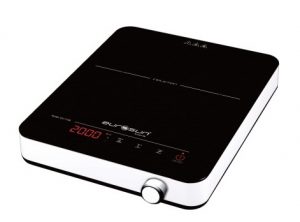 Bếp từ đơn Eurosun EU-T198