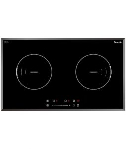 Bếp từ Dmestik ES 555DKI