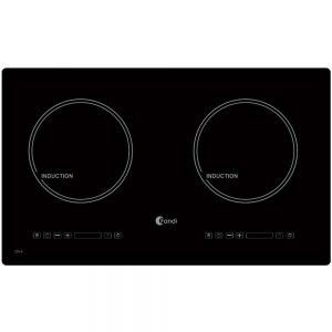 Bếp Từ Fandi FD 226I