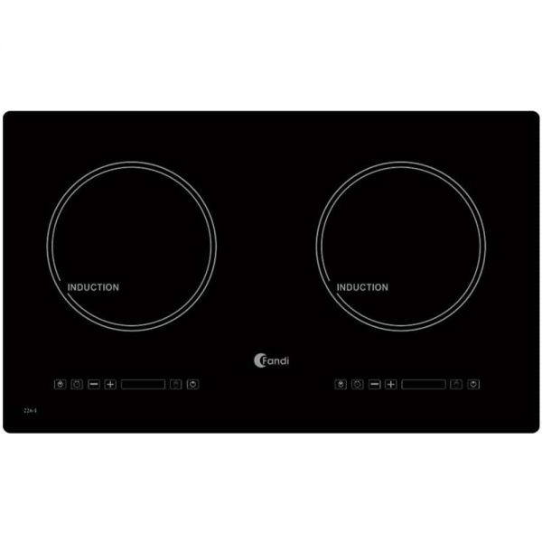 Bếp Từ Fandi FD 226I
