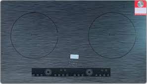 Bếp từ Canzy CZ 288